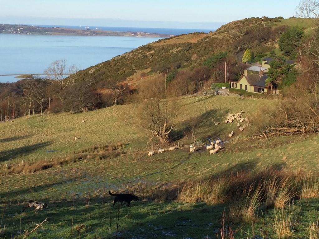 Rhiwiau Guesthouse Llanfairfechan Exterior foto